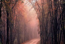 虎扑足球:太残暴啦!巴萨女足6-1、总比分10-2狼堡女足,晋级女足欧冠4强.