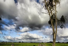 虎扑足球:8秒16!吴艳妮夺冠南京日报.