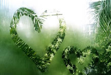 虎扑足球:中外政企球邀请赛球.